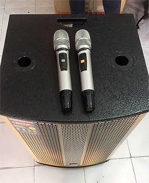 Loa kéo Bose DK-15E Plus, loa karaoke thùng gỗ, max 600W
