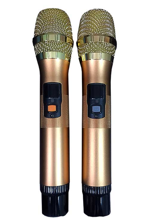Loa kéo Bose DK-9800, loa di động hát karaoke