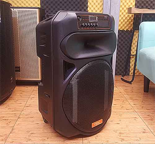 Loa kéo Caliana TN-15D, loa karaoke vỏ nhựa, max 450W