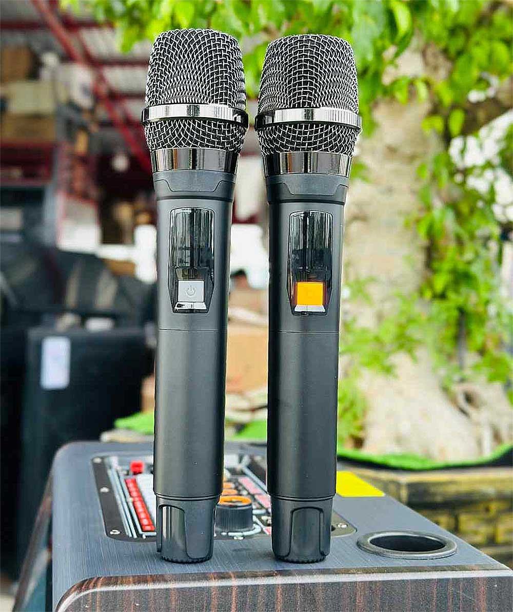 Loa kéo có màn hình T70, củ bass 25