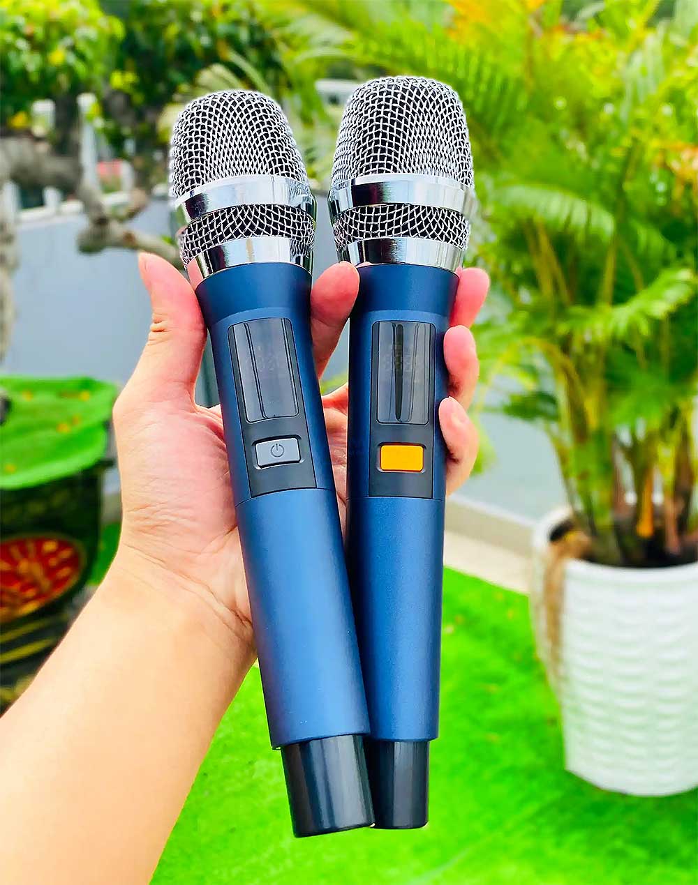 Loa kéo di động 1002, 3 đường tiếng