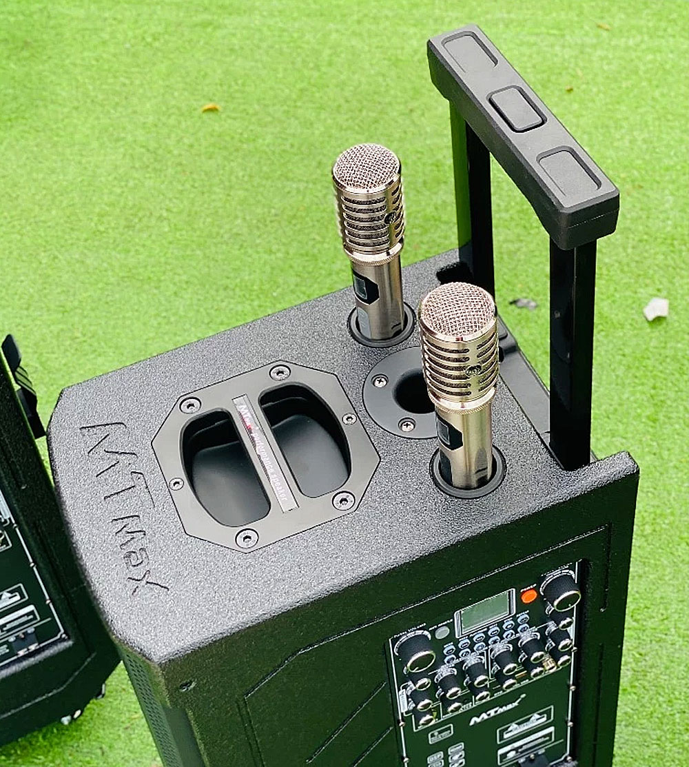 Loa kéo di động 3389, 2 bass 20
