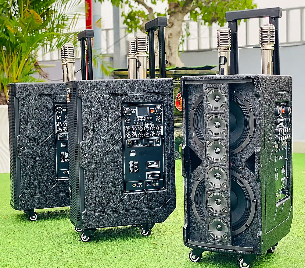 Loa kéo di động 3389, 2 bass 20