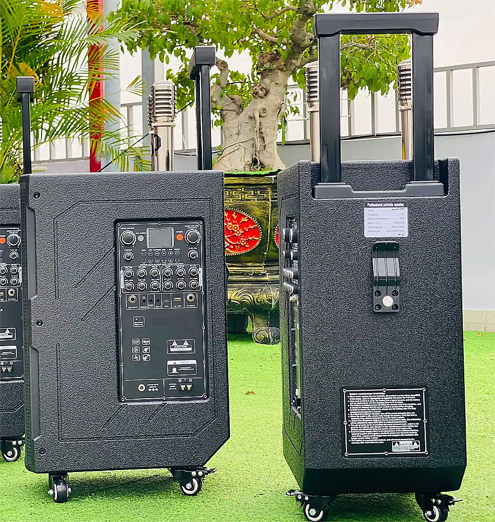 Loa kéo di động 3389, 2 bass 20