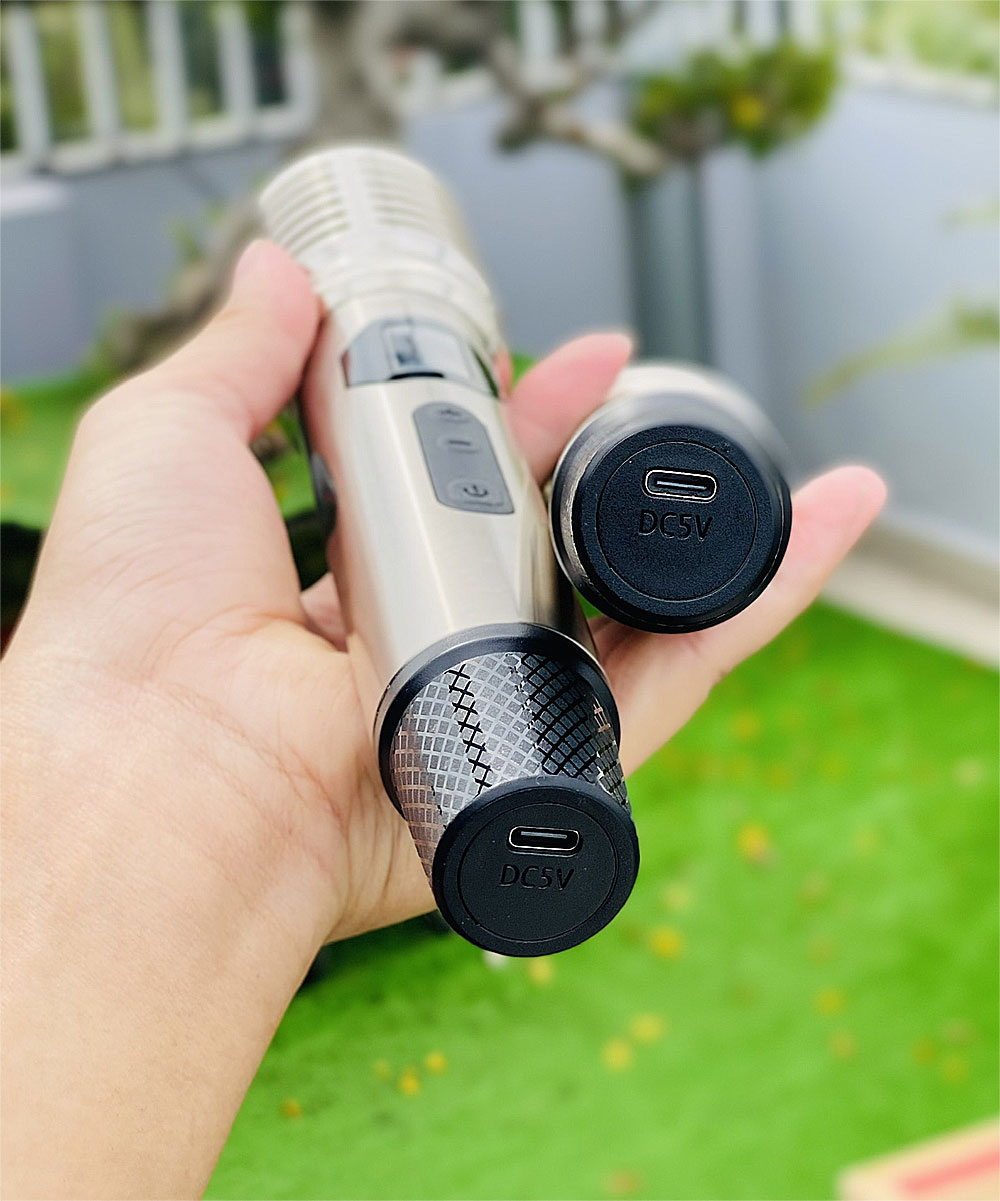 Loa kéo di động 3389, 2 bass 20