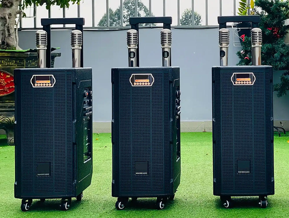 Loa kéo di động 3389, 2 bass 20
