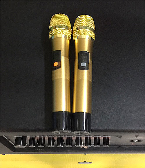 Loa kéo di động Pro-98, loa karaoke công suất lớn- max 1400W