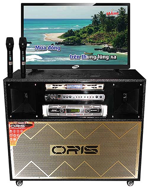 Loa kéo điện ORIS TO-6000, loa karaoke 2 đường tiếng