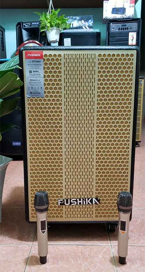 Loa kéo Fushika PK-10, loa karaoke cao cấp, bass 4 tấc