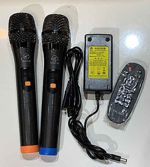 Loa kéo Hamersh SL08-01A, loa karaoke vỏ nhựa, bass 2 tấc