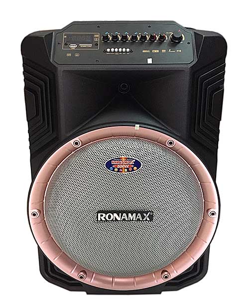 Loa kéo karaoke Ronamax B15A, công suất 600W