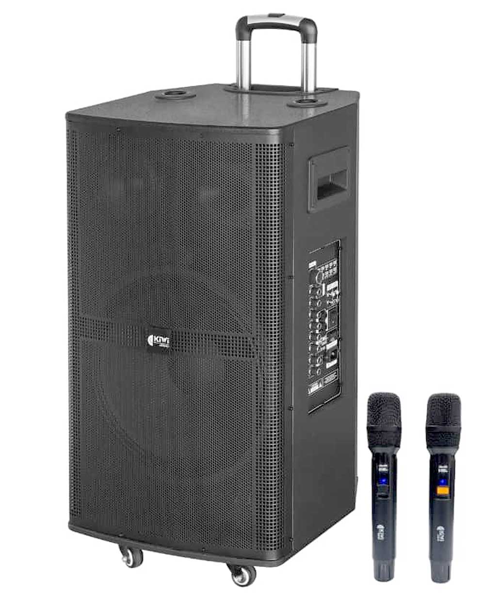 Loa kẹo kéo KIWI KT315, cỡ bass 40