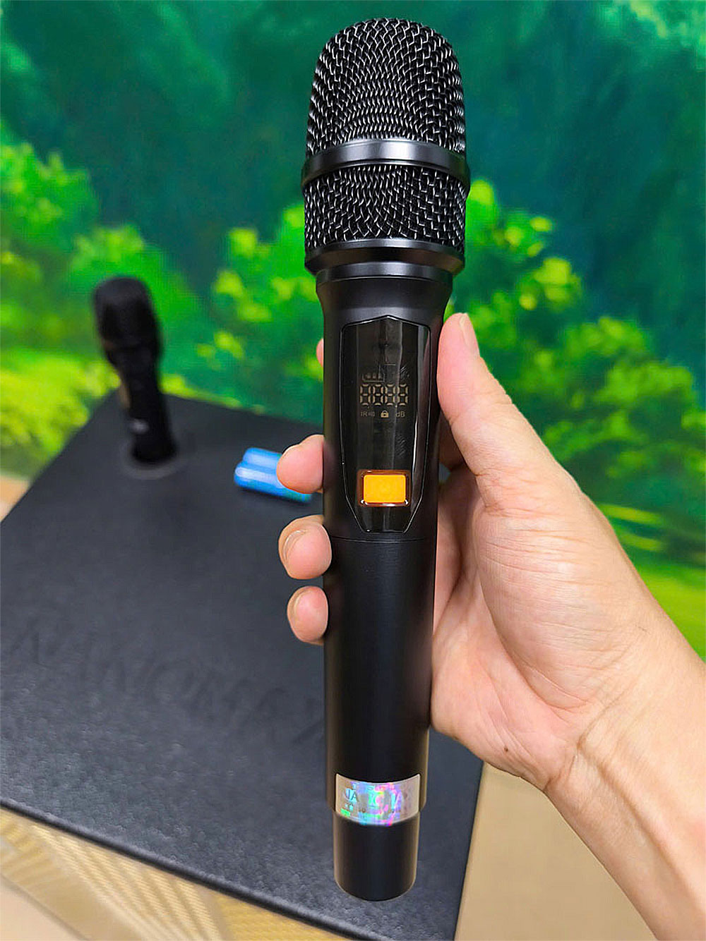 Loa kẹo kéo Nanomax SK-16K8, bass 40cm