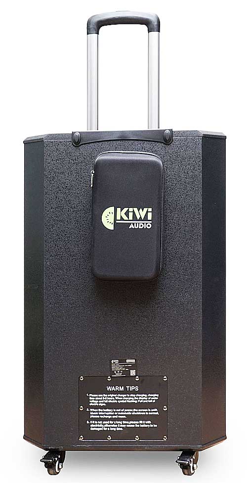 Loa kéo KIWI K6015, loa karaoke giải trí cao cấp
