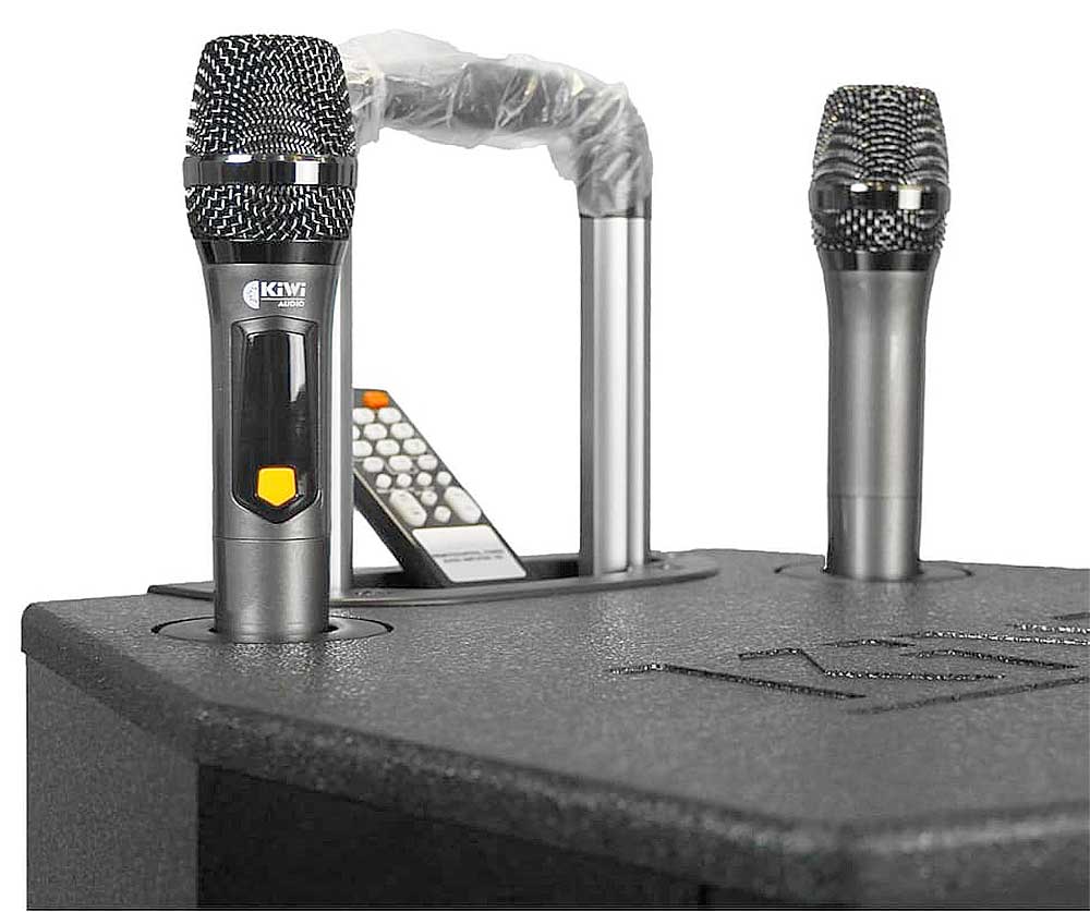 Loa kéo Kiwi XT15, loa karaoke 3 đường tiếng