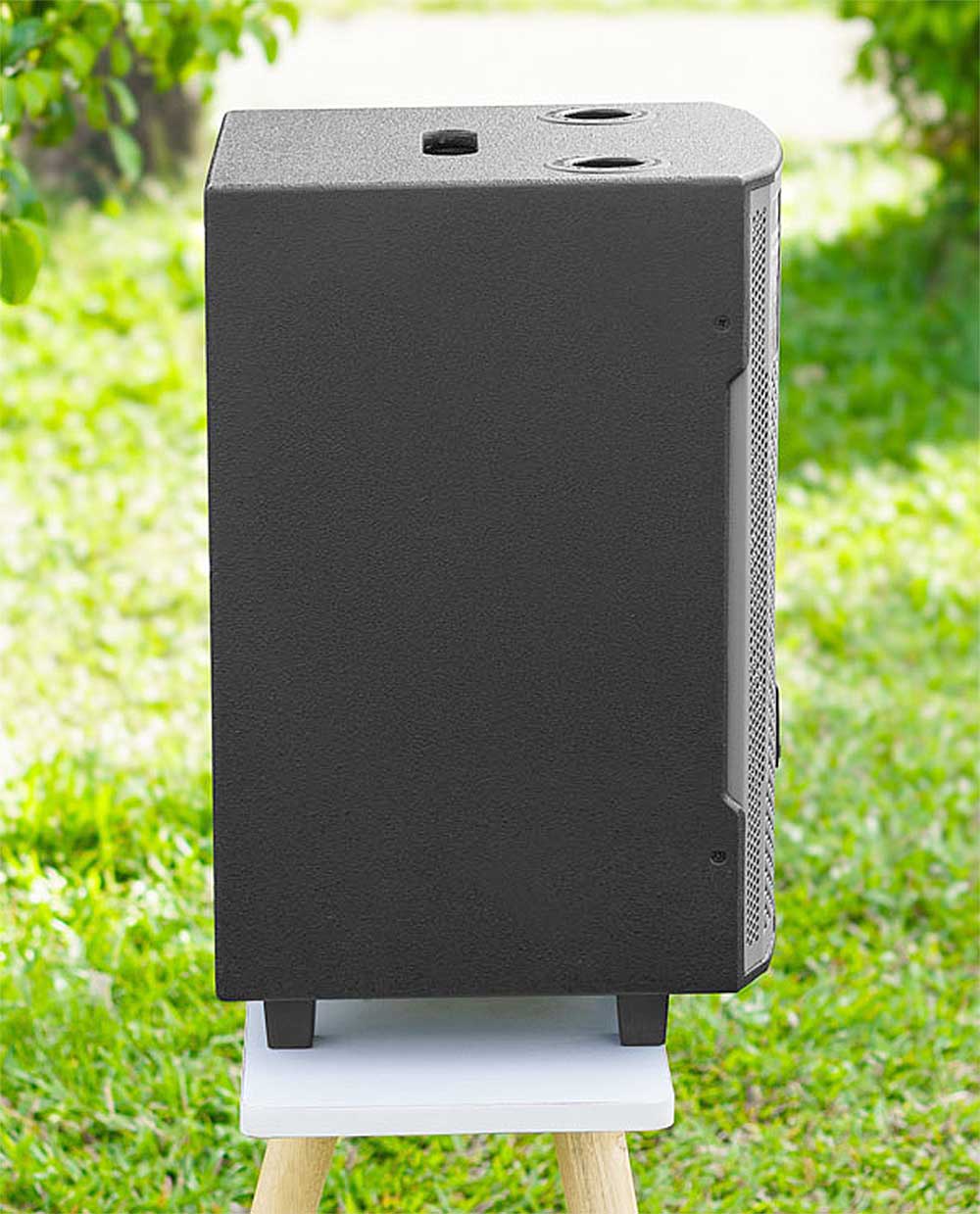 Loa kéo Nanomax A-10, 2 mic UHF