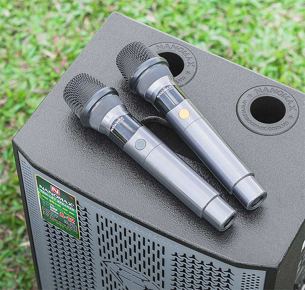 Loa kéo Nanomax A-12, 2 đường tiếng