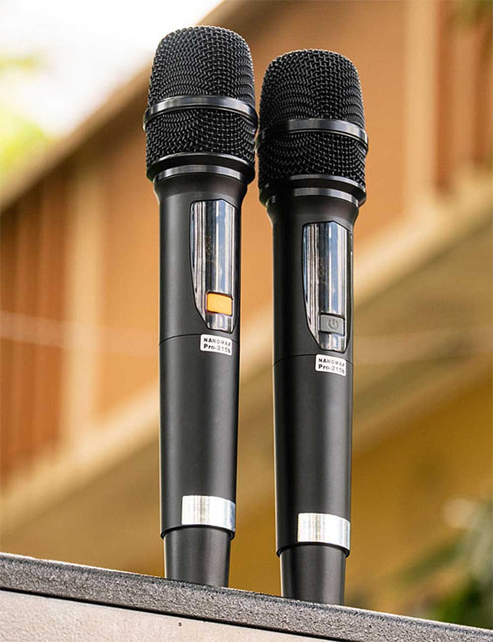 Loa kéo Nanomax Pro-215B, 2 bass 40