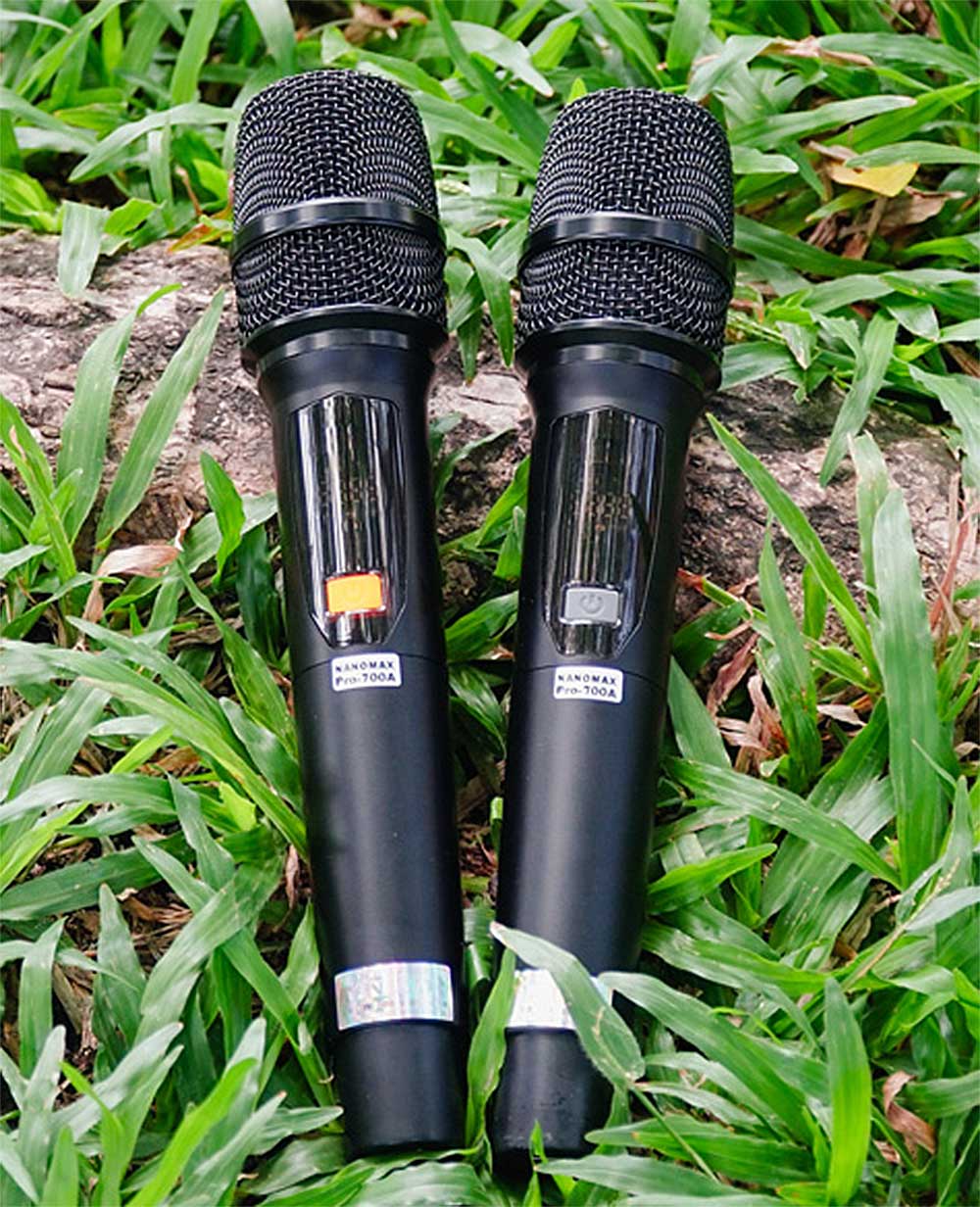 Loa kéo Nanomax Pro-700A, 2 bass 50