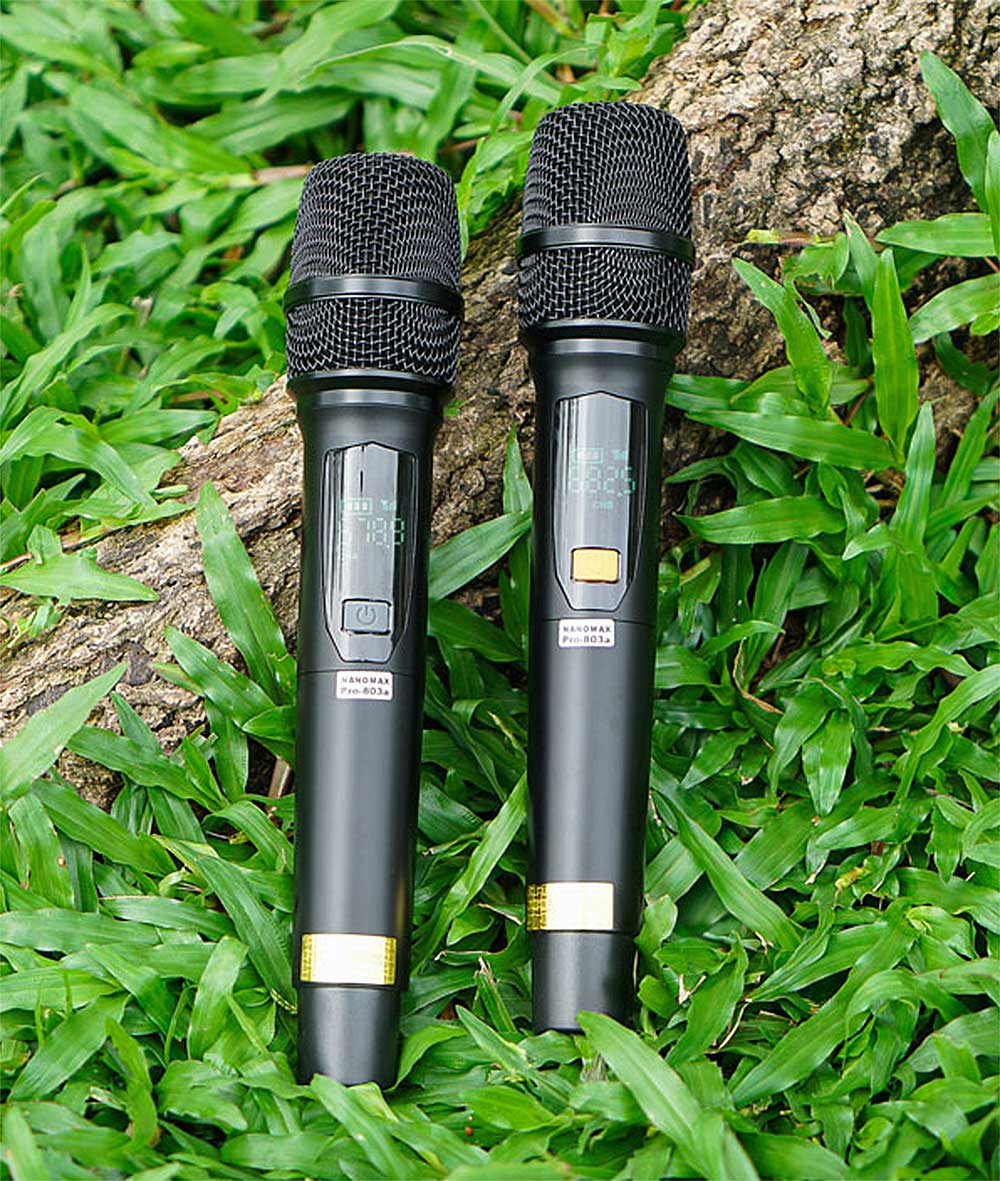 Loa kéo Nanomax Pro-803A Loa kéo Nanomax Pro-803A, 2 bass 40