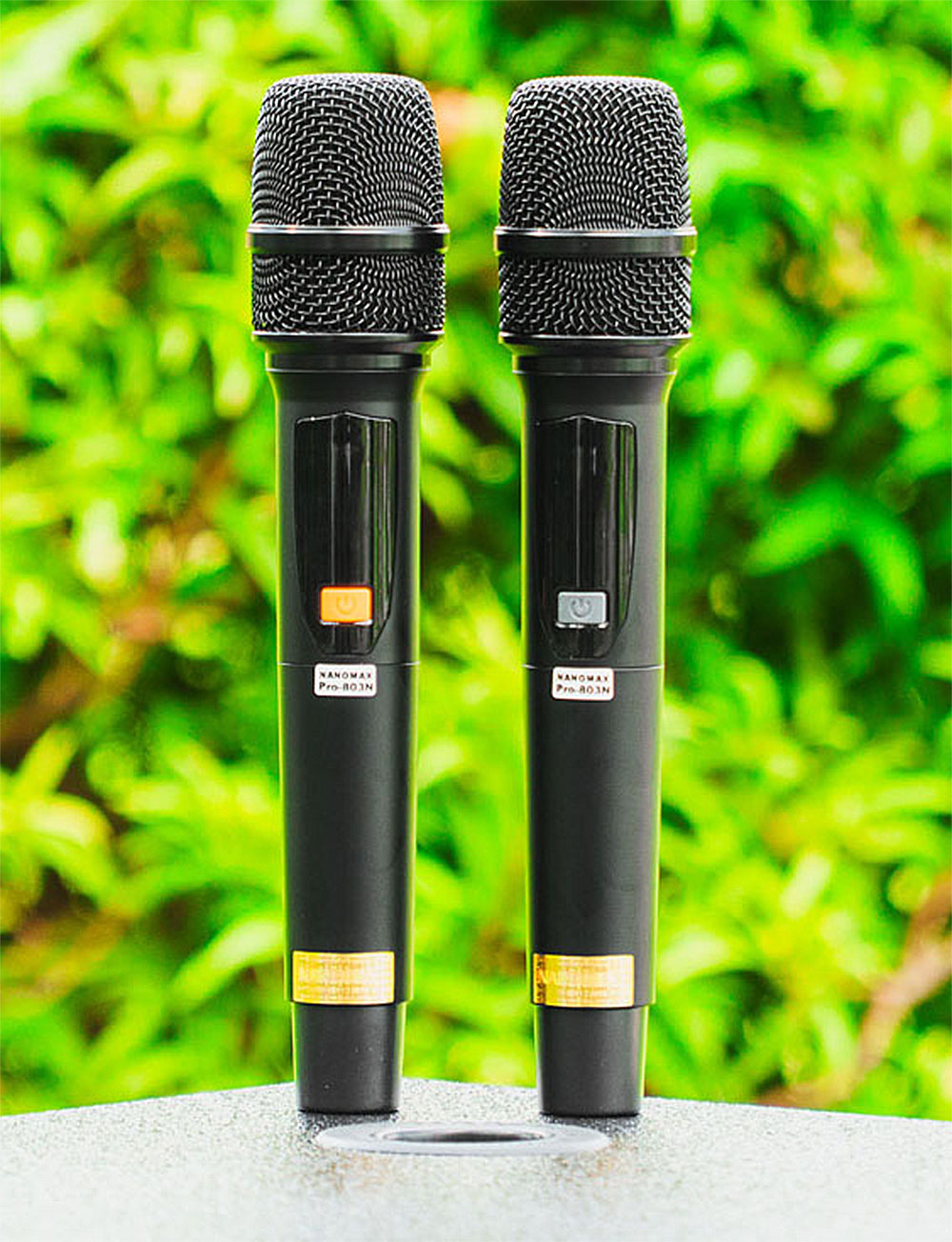 Loa kéo Nanomax Pro-803N, 2 bass 40