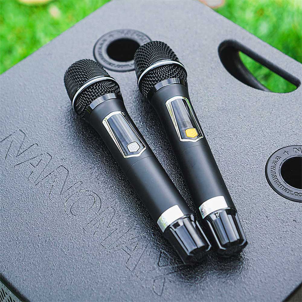 Loa kéo Nanomax SK-1202, 2 đường tiếng