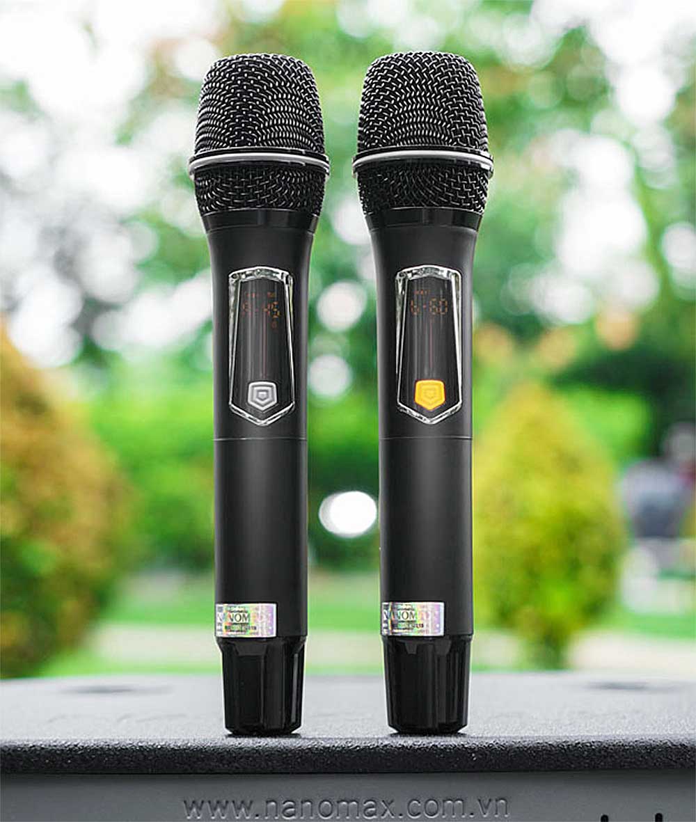 Loa kéo Nanomax SK-1202, 2 đường tiếng