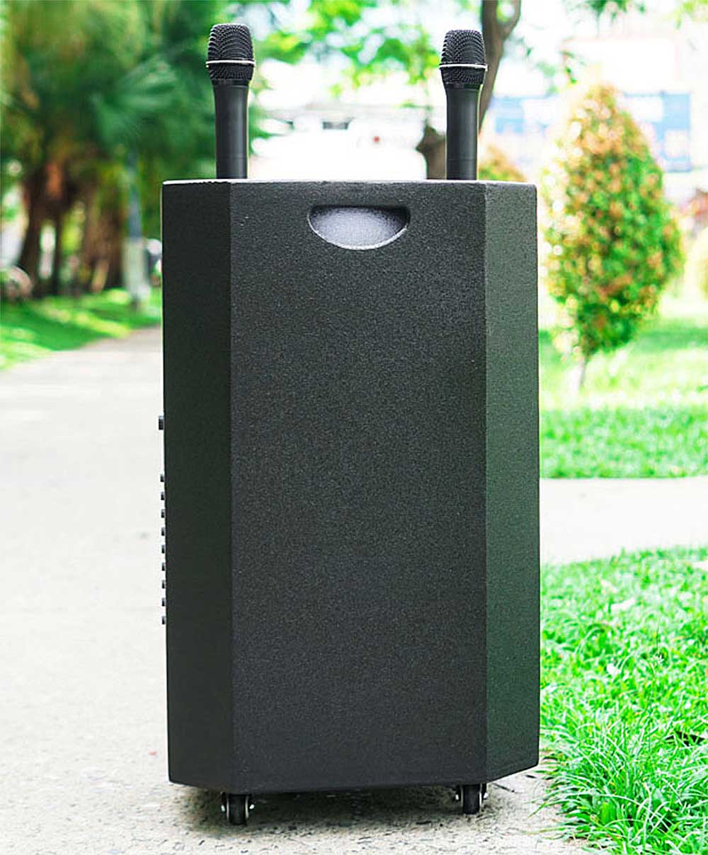 Loa kéo Nanomax SK-1202, 2 đường tiếng