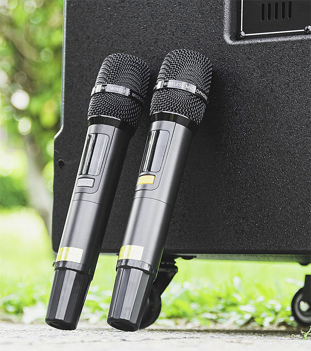 Loa kéo Nanomax SK-18Q6, 3 đường tiếng