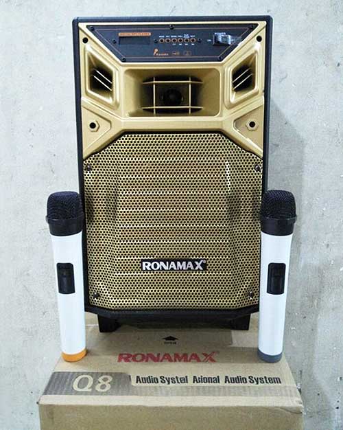 Loa kéo Ronamax Q8, kèm 2 mic không dây