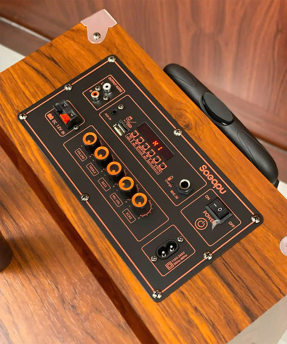 Loa kéo SAEAPU TTD-1122, loa 2 bass nhập khẩu