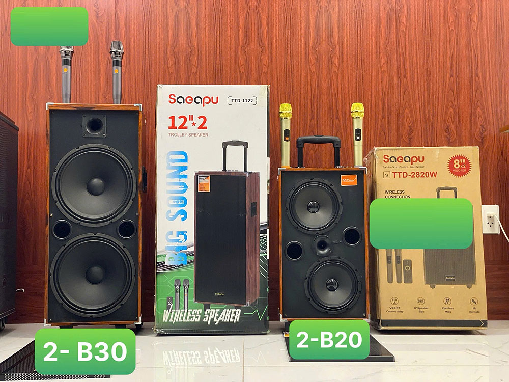 Loa kéo SAEAPU TTD-1122, loa 2 bass nhập khẩu