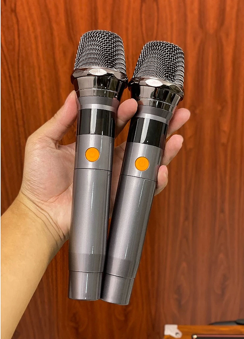 Loa kéo SAEAPU TTD-1122, loa 2 bass nhập khẩu