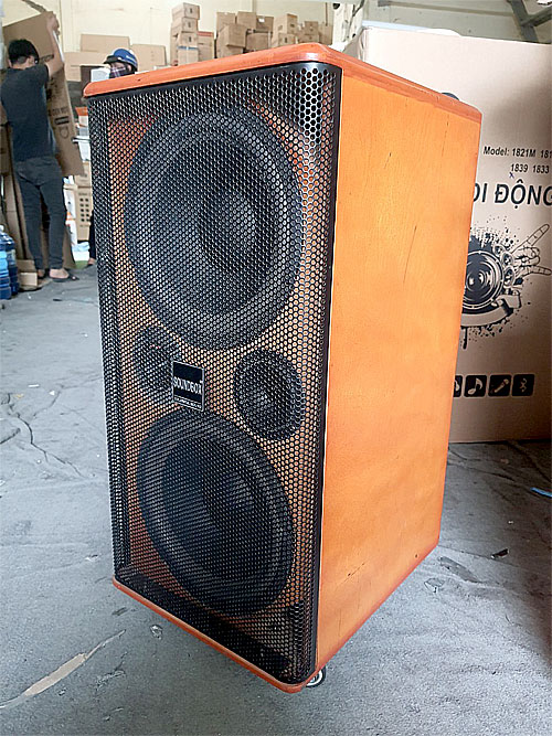 Loa kéo Soundbox SB2-10G, 2 bass 25