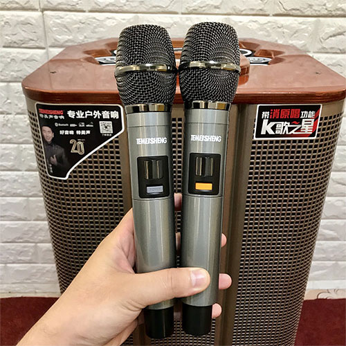 Loa kéo Temeisheng QX-153, loa karaoke có trống điện tử