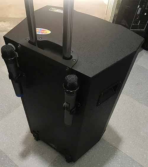 Loa kéo Temeisheng QX15-09, loa karaoke thùng gỗ, max 500W