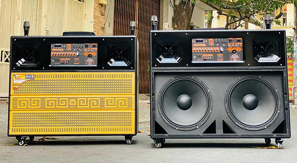 Loa kéo tủ 906, 2 bass 40