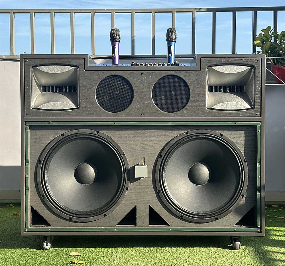Loa kéo tủ T02Pro, 2 bass 40
