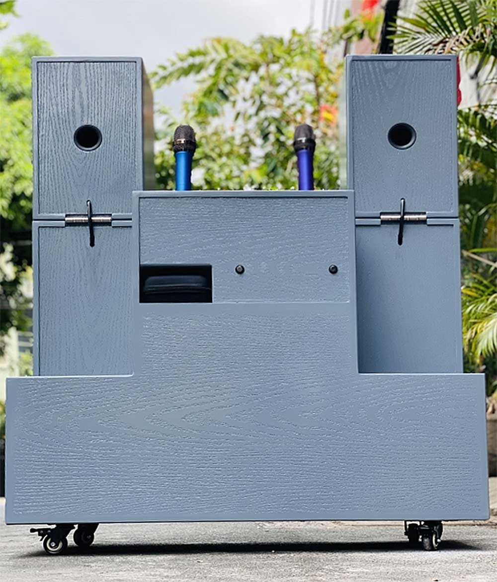 Loa kéo tủ T02Pro, 2 bass 40