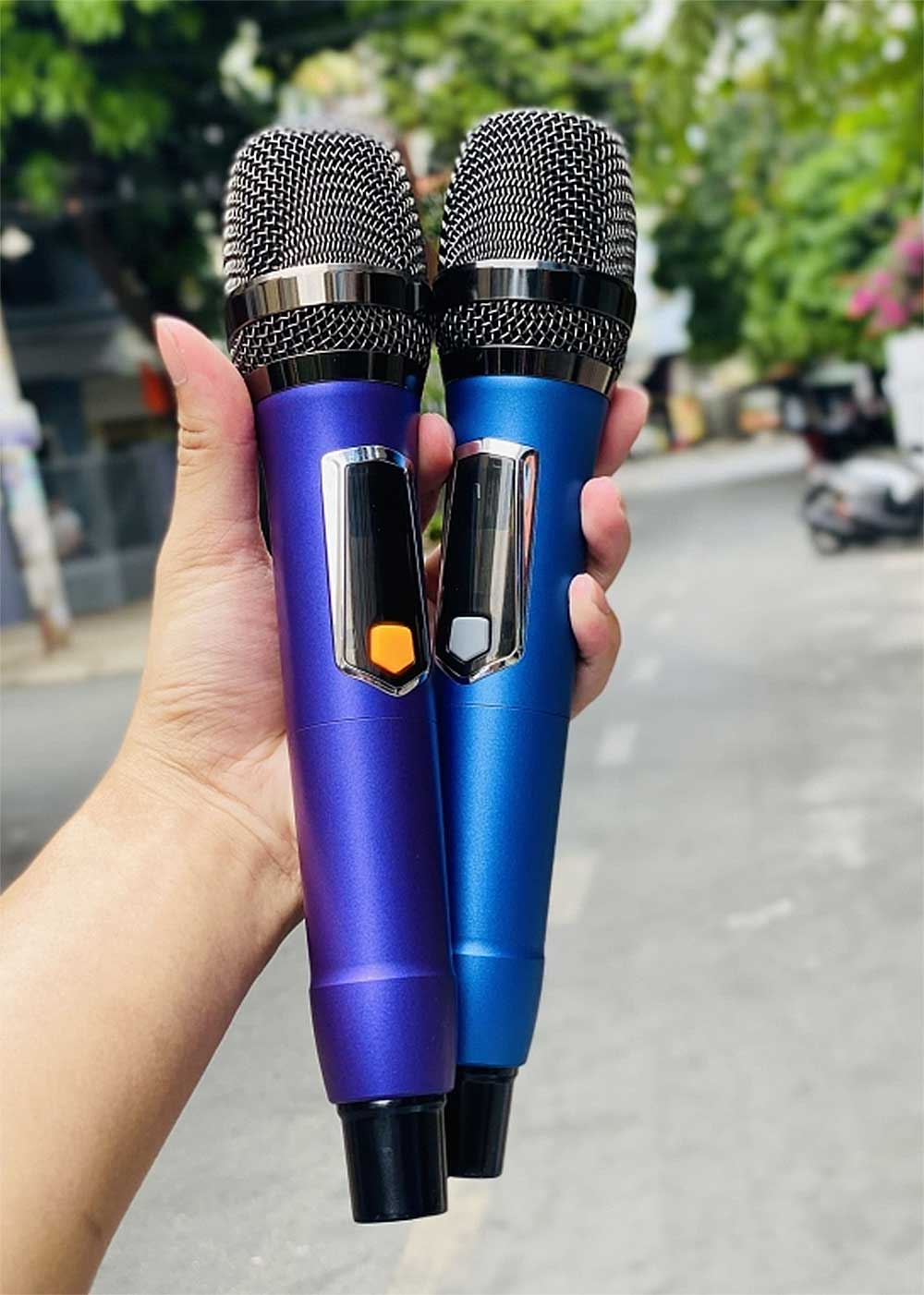 Loa kéo tủ T02Pro, 2 bass 40