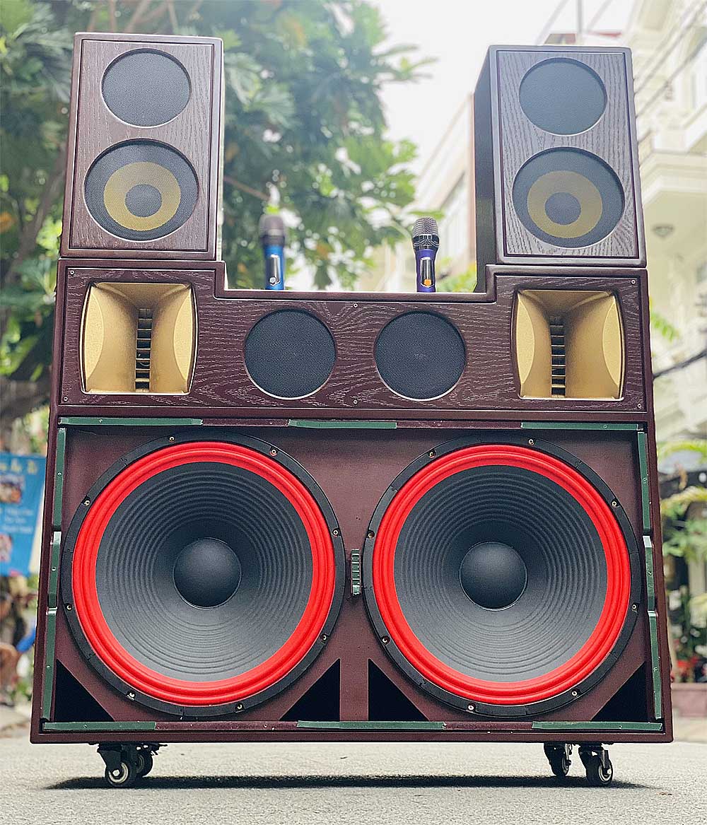 Loa kéo tủ T05Pro, 2 bass 50