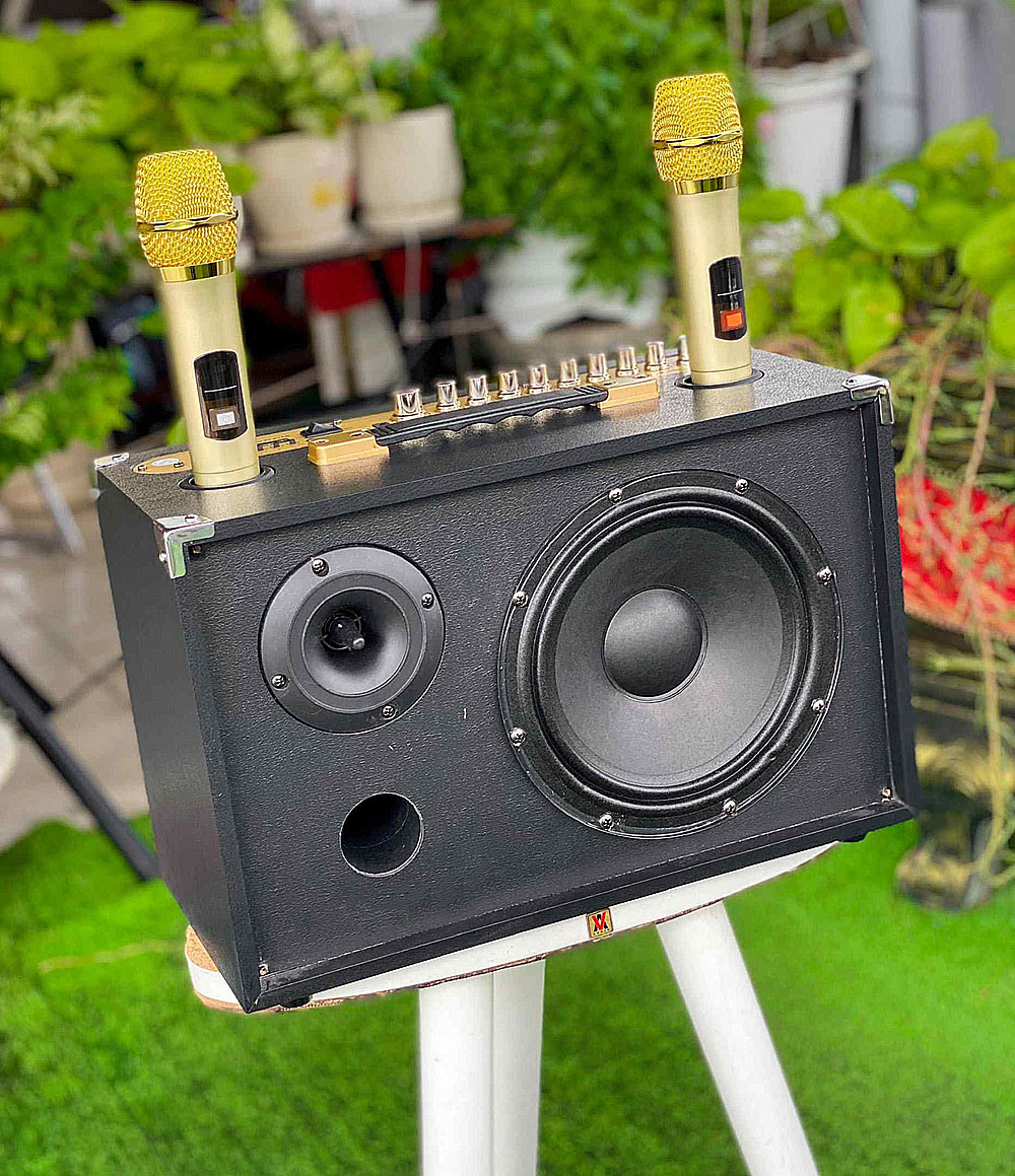 Loa xách tay B52 VIP, 2 đường tiếng
