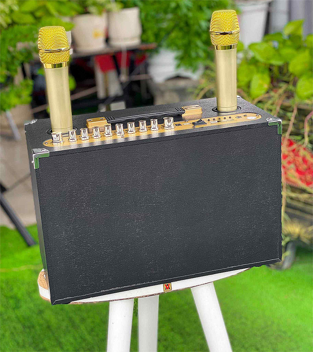 Loa xách tay B52 VIP, 2 đường tiếng