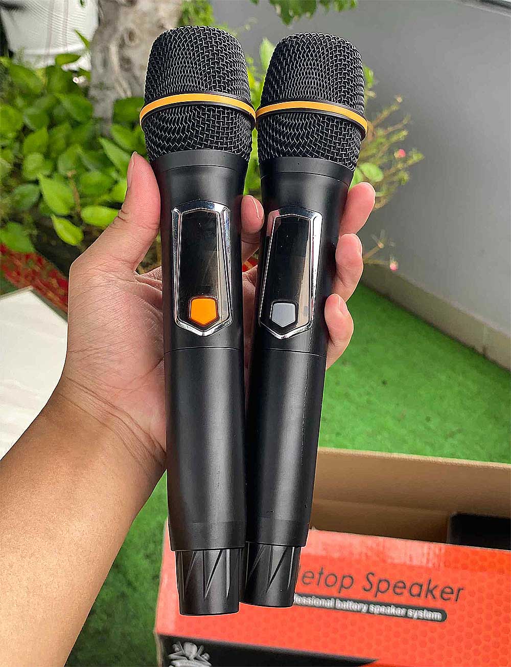 Loa xách tay BB79V, 2 bass 20