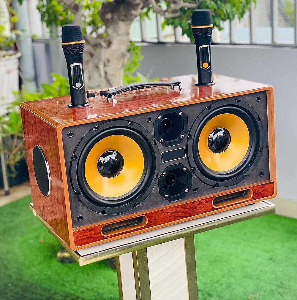 Loa xách tay BB79V, 2 bass 20