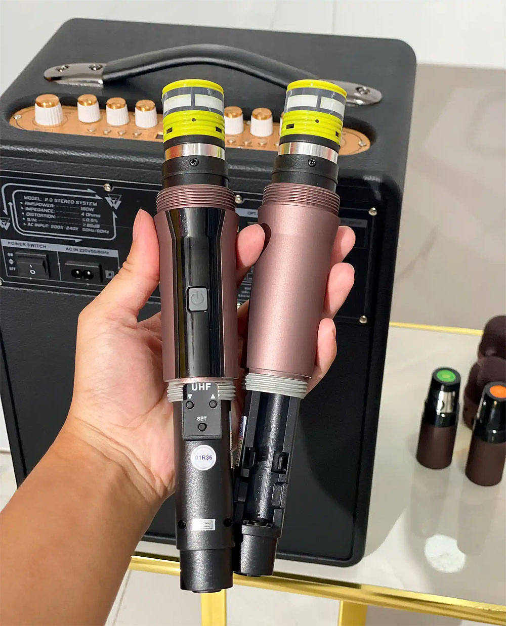Loa xách tay DK05, kèm 2 micro UHF