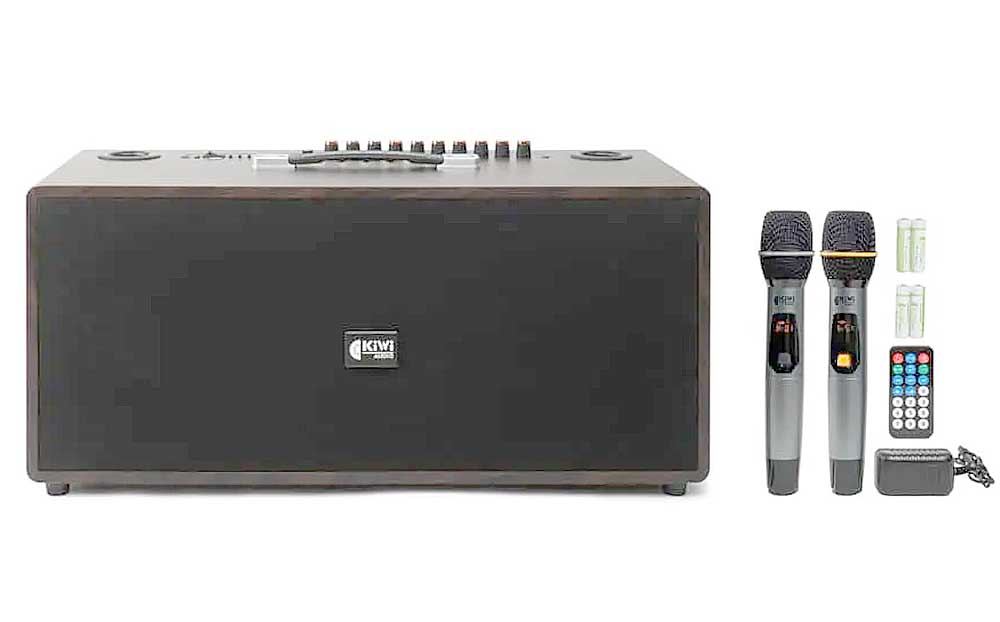 Loa xách tay KIWI XT220, 2 bass 20