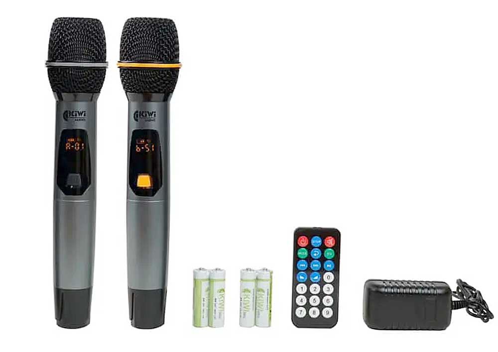 Loa xách tay KIWI XT220, 2 bass 20