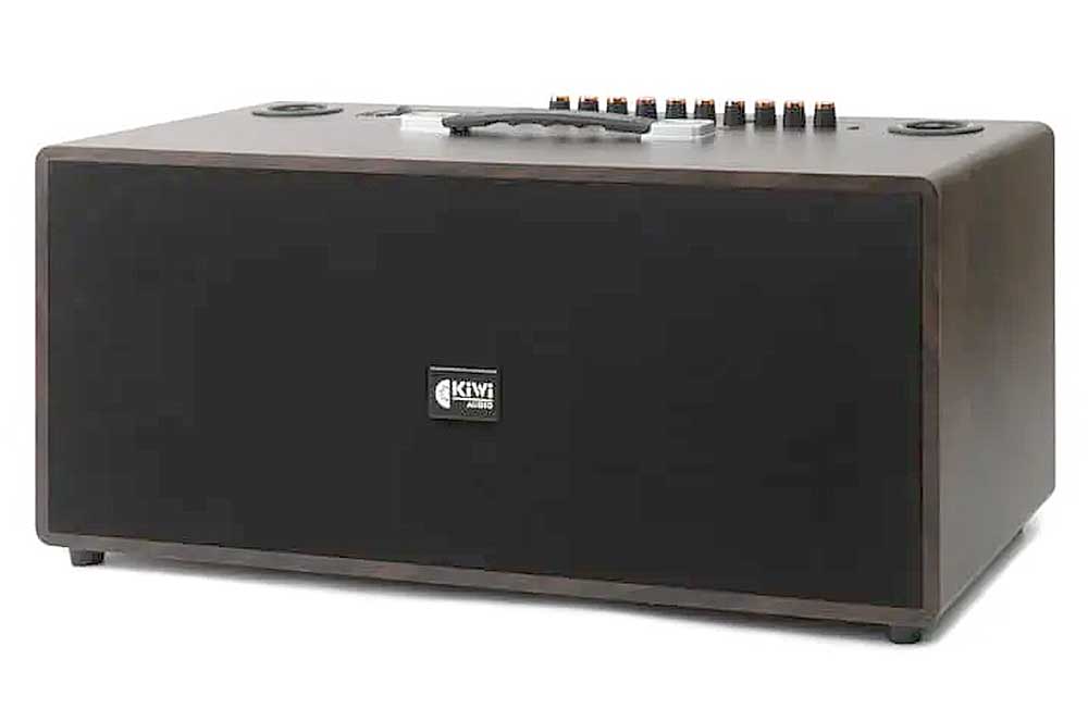 Loa xách tay KIWI XT220, 2 bass 20