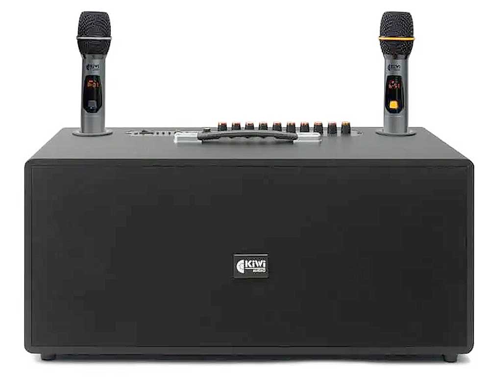 Loa xách tay KIWI XT220, 2 bass 20